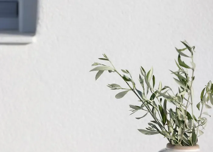 ホテル Panorama Serenity 4*